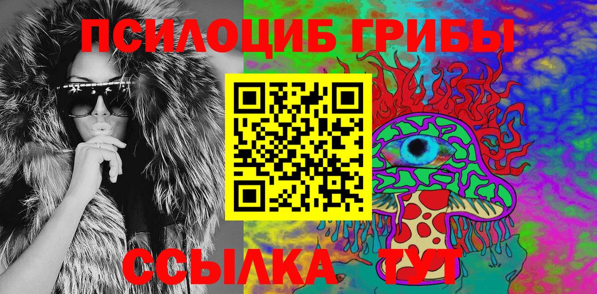 Псилоцибиновые грибы Psilocybine cubensis  Вход с VPN  Кохма 